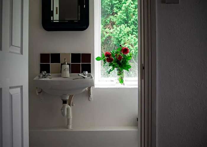 Cecas At Myross Wood House Leap